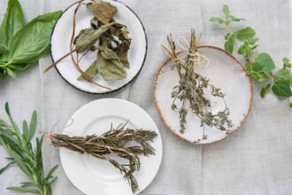 Comment sécher et conserver les herbes fraîches du jardin