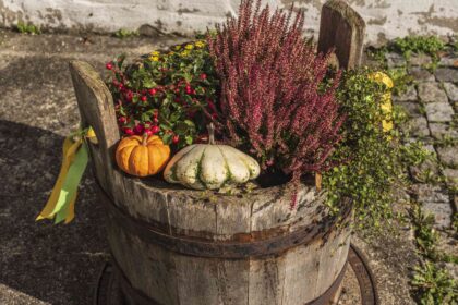 5 Erreurs qui Ruinent l’Aspect de Vos Contenants d’Automne, d’Après les Jardiniers