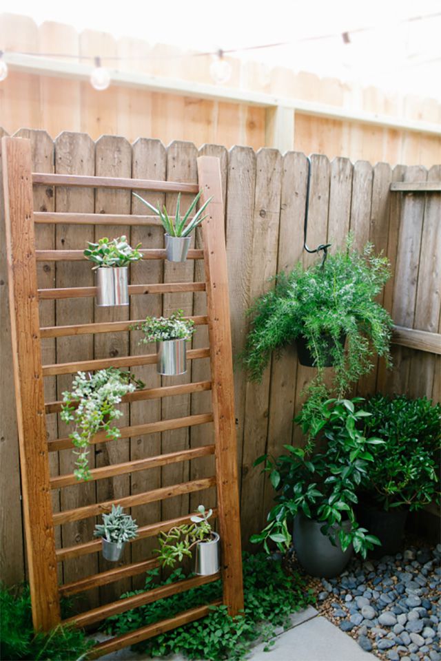Un jardin vertical extérieur