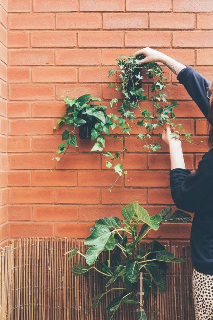 Une femme accroche une jardinière murale