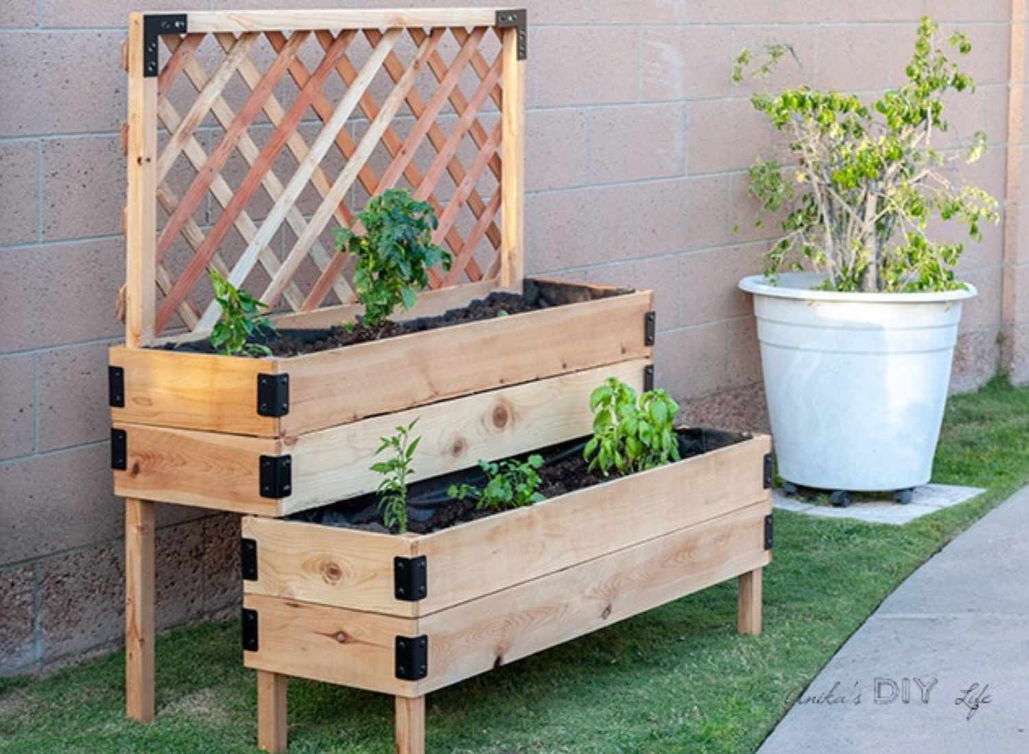 Lit de jardin surélevé en gradins peu coûteux