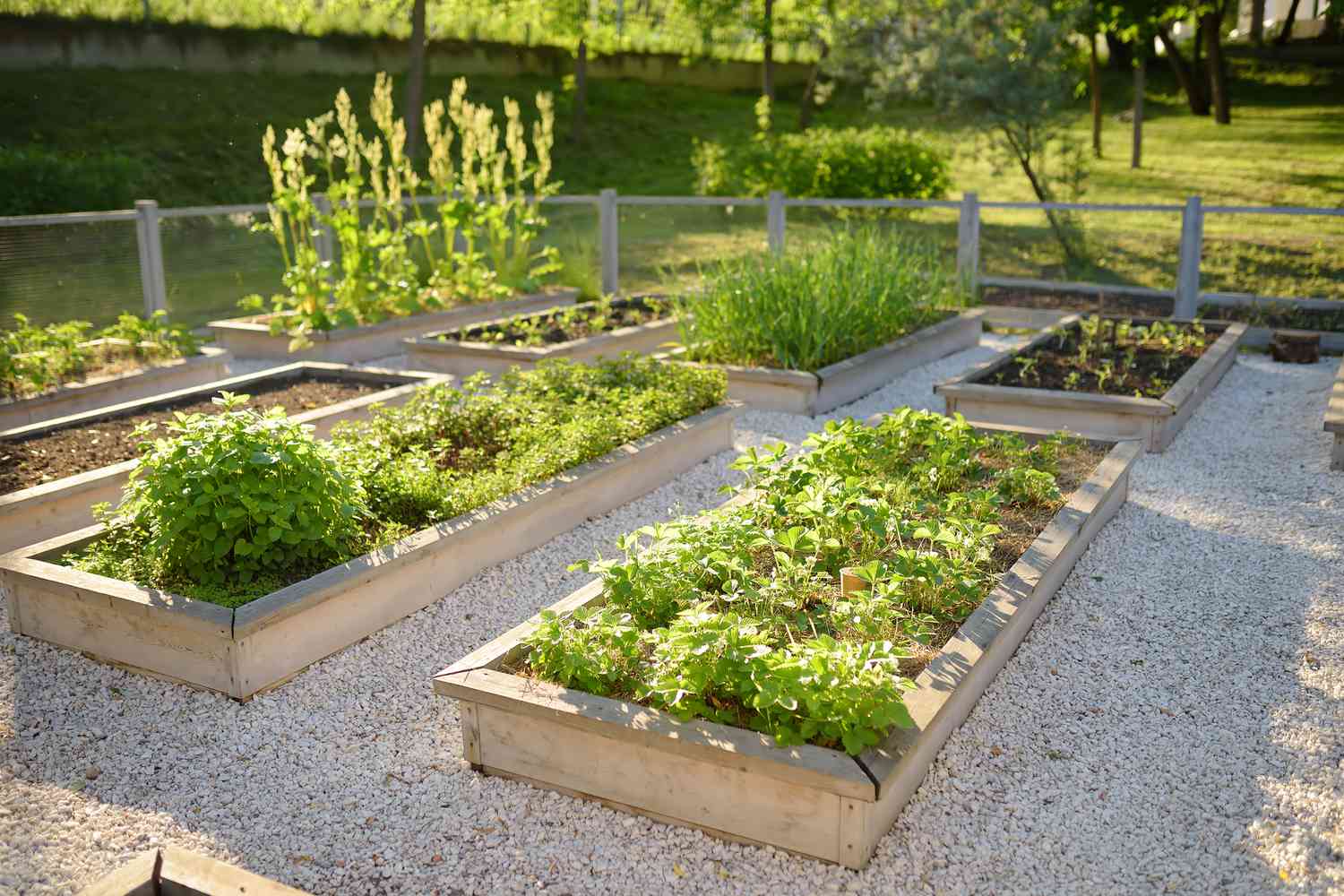 Raised bed garden