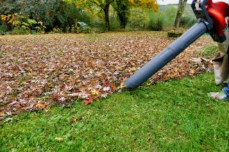 15 Astuces pour Ramasser les Feuilles de Votre Jardin comme un Pro cet Automne