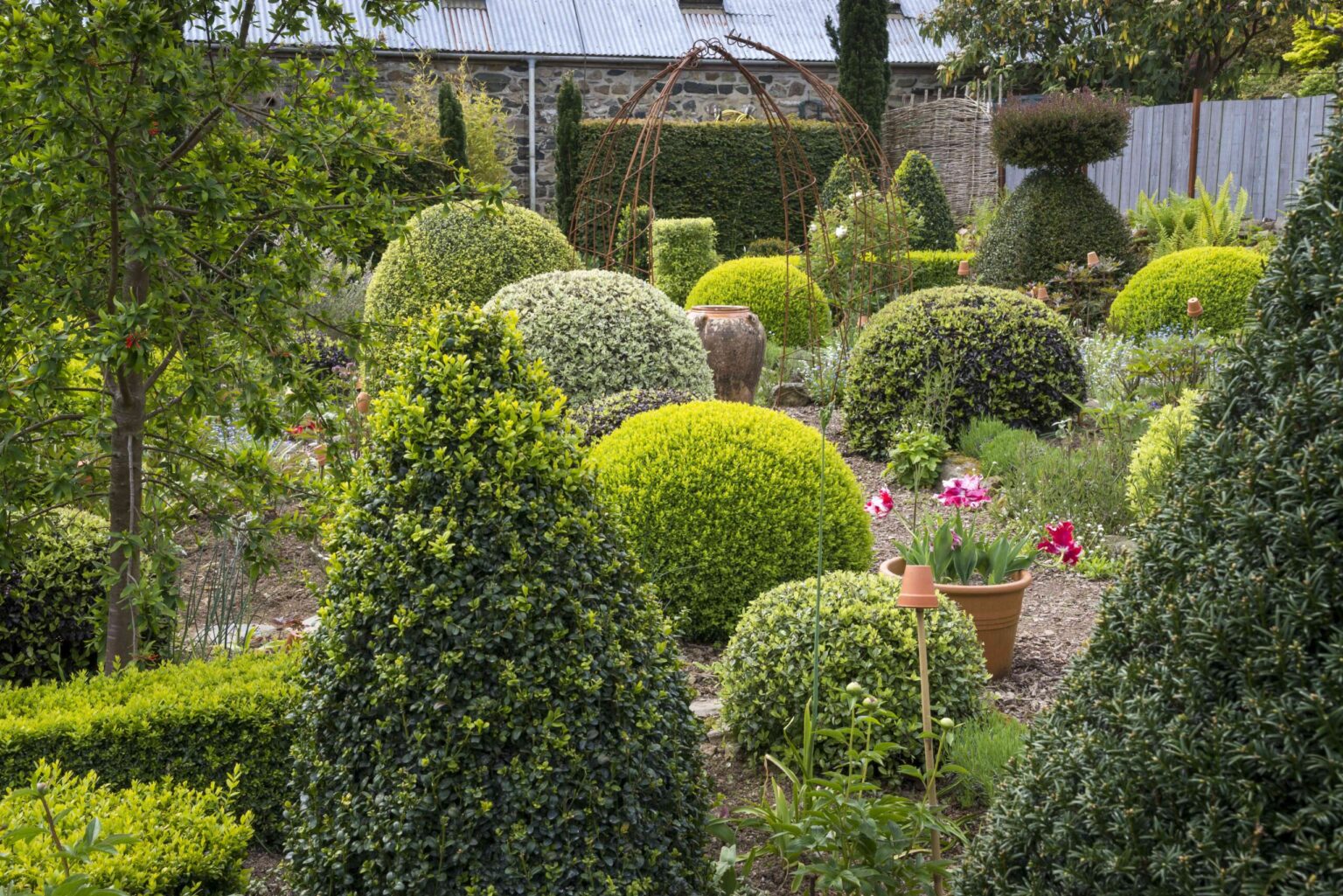 25 Buissons à Feuillage Persistant Nécessitant Peu d’Entretien pour Garder Votre Jardin Élargi Toute l’Année