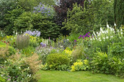 6 Éléments qui Ruinent Instantanément l’Esthétique de Votre Jardin, Selon les Jardiniers