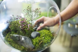 Comment réaliser un terrarium de mousse facile à cultiver en 7 étapes simples