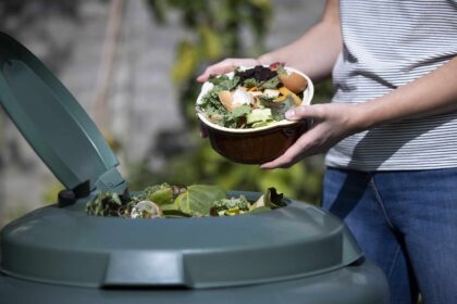 Peut-on composter du pain ? Ce qu’il faut savoir avant d’ajouter une miche à votre tas.