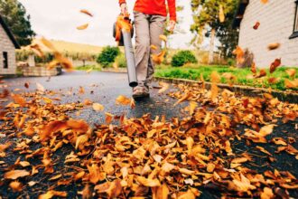 À quel moment est-il trop tôt pour utiliser un souffleur de feuilles ? Nous avons interrogé des experts en étiquette.