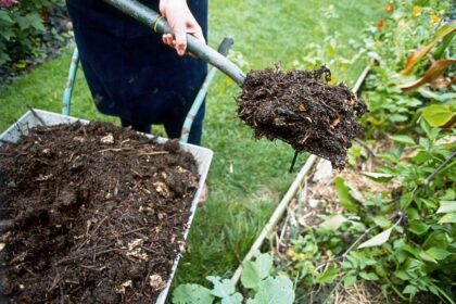 Tout savoir sur l’utilisation du compost pour le gazon