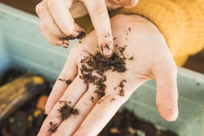 Que sont les vermicomposts et comment les utiliser dans le jardin ?