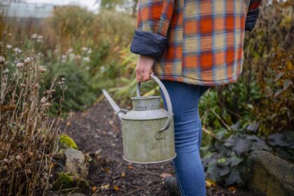 Ne cessez pas d’arroser vos plantes cet hiver—Que faire maintenant pour des plantes en santé au printemps