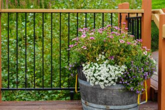 Comment cultiver des plantes dans des fûts à vin (et 10 plantes à essayer)