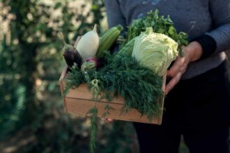 24 Meilleures Plantes Compagnes pour Aubergines