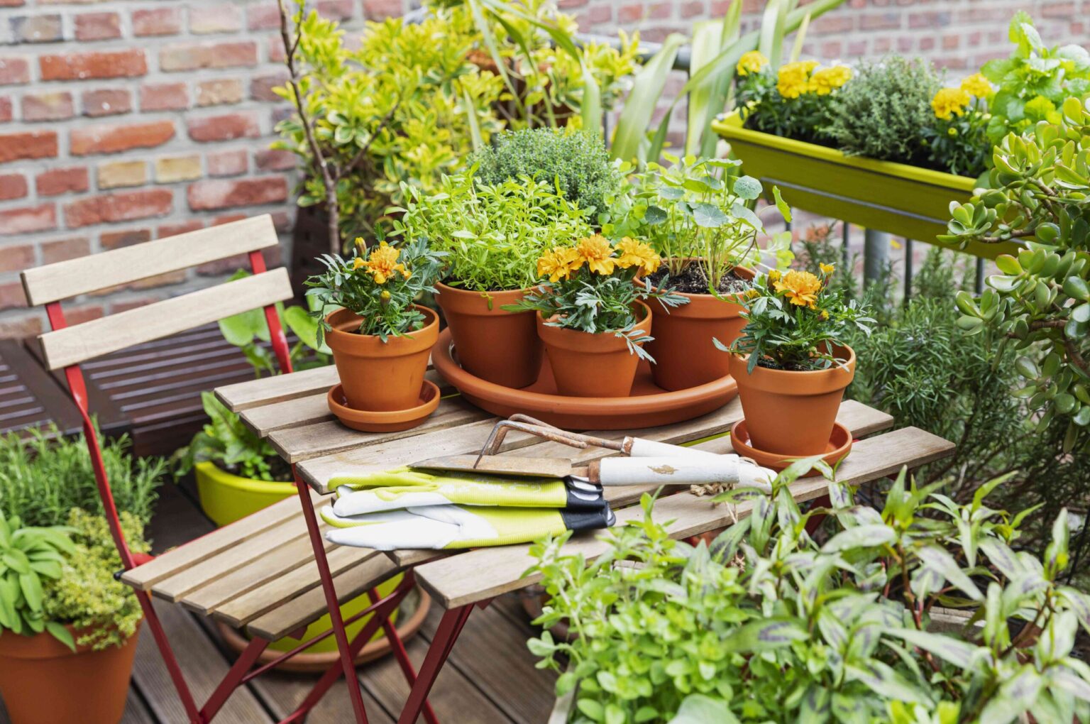 6 façons de créer un jardin productif, peu importe la taille de votre espace