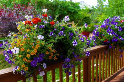 Comment planter un jardin sur votre terrasse : 12 conseils pour un jardinage réussi