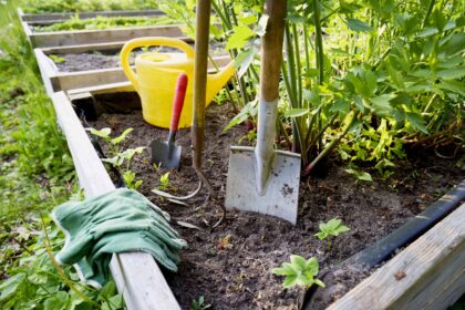 12 Types de pelles à connaître – et comment elles peuvent vous aider dans vos tâches de jardinage d’automne