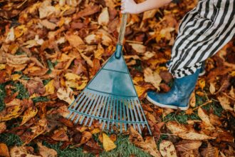 Ne jetez pas vos feuilles cet automne : elles peuvent améliorer votre jardin au printemps.