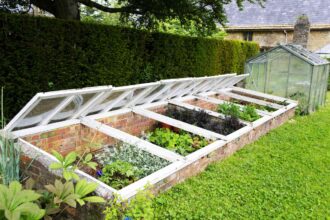 Le jardinage sous châssis froid pourrait être votre secret pour cultiver des légumes toute l’année—Voici comment.