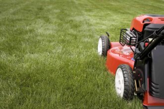 Quand arrêter de tondre votre pelouse à l’automne ? Les experts en jardinage partagent le meilleur moment.