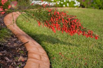 Comment border votre jardin avec des briques pour un style classique