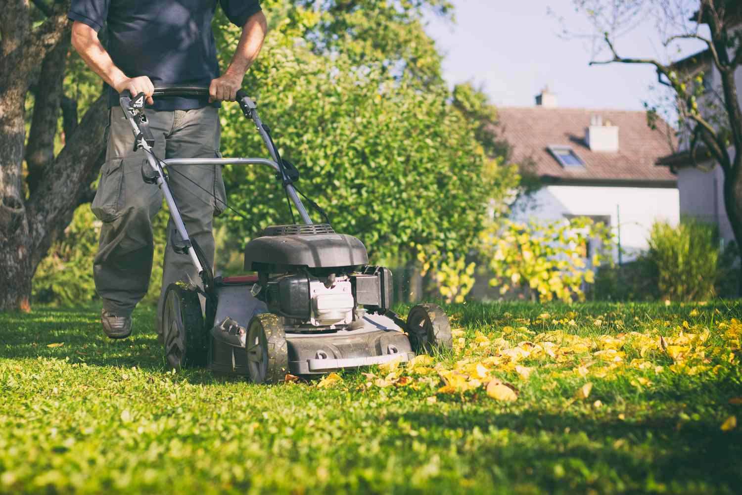 Personne poussant une tondeuse mulching.