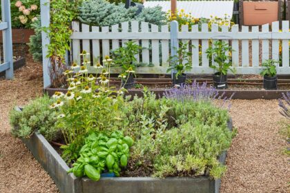 38 Idées Astucieuses de Jardins d’Herbes pour Espaces Intérieurs ou Extérieurs