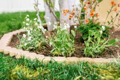 Comment installer des pavés de bordure pour créer une bande de tonte