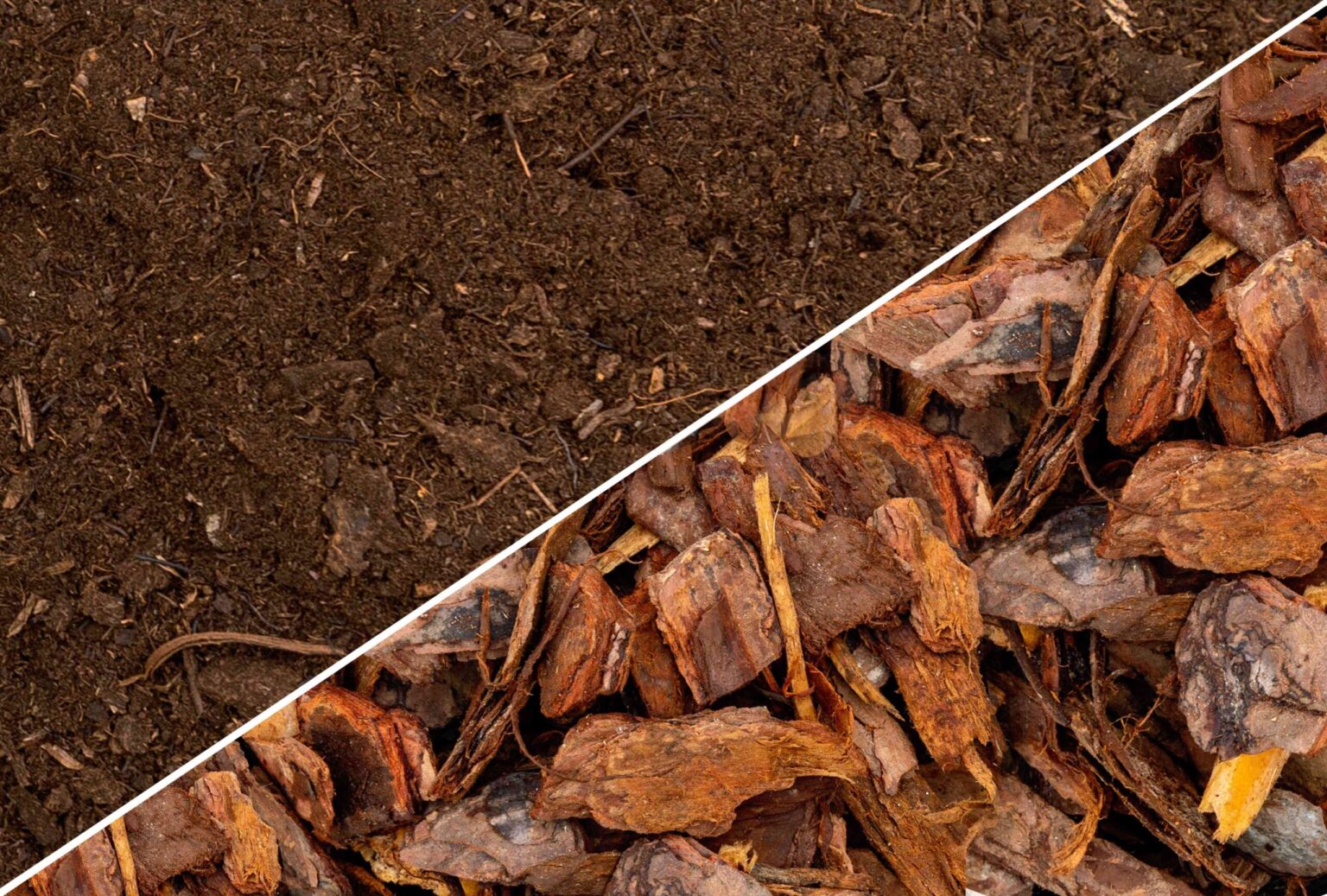 Compost ou paillis : Quelle est la différence ?