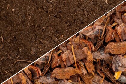 Compost ou paillis : Quelle est la différence ?