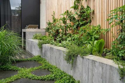 20 Idées de Murs de Jardin Magnifiques pour Élever Votre Aménagement Paysager