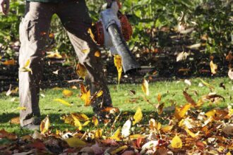 Faut-il utiliser un râteau ou un souffleur de feuilles ? Les experts dévoilent celui qui est le meilleur.