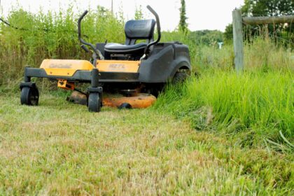 La plus grande erreur d’entretien de pelouse que vous commettez dans votre jardin (et comment la corriger rapidement)