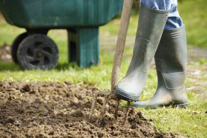 11 erreurs de jardinage en fin d’été à éviter, selon les experts