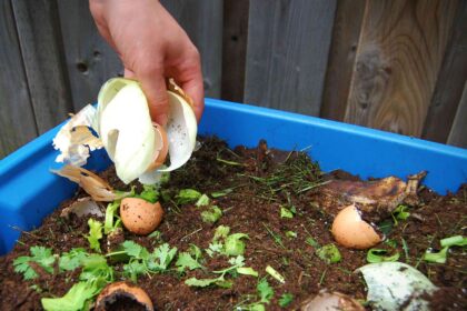 Comment créer un bac à compost avec des conteneurs de rangement en plastique