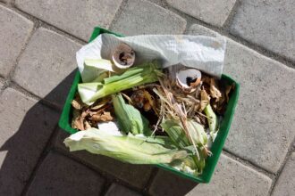 Le bon ratio de compost entre les matières vertes et brunes