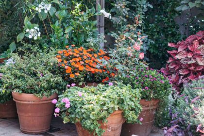 7 Astuces Malignes pour Éviter que Votre Jardin en Pot ne Sèche, Selon des Experts