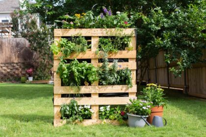 Comment fabriquer un potager en palette et le préparer pour les plantes