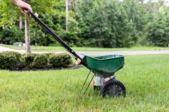 5 erreurs à ne jamais commettre lors de la fertilisation de votre pelouse, avertit un professionnel