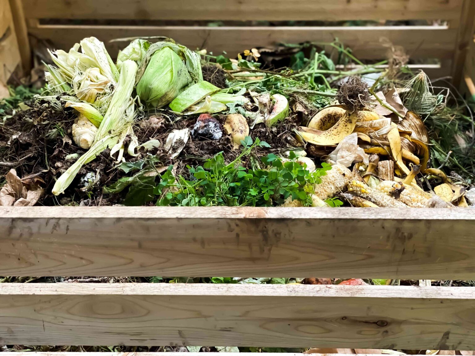 Compostage à Chaud : Comment Fabriquer du Compost en Moins de Temps