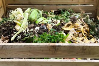 Compostage à Chaud : Comment Fabriquer du Compost en Moins de Temps