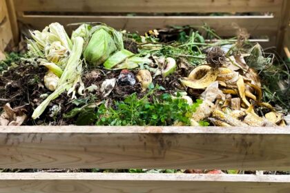 Compostage à Chaud : Comment Fabriquer du Compost en Moins de Temps