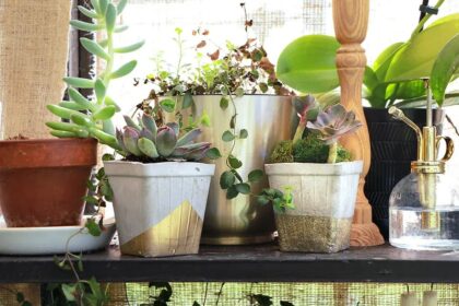 36 Jardinières DIY pour Sublimer vos Plantes d’Intérieur