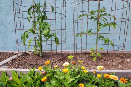 12 Supports et Cages à Plantes à Faire Soi-Même