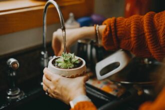 L’eau du robinet est-elle vraiment nuisible pour vos plantes ? 4 signes qui montrent que vous devriez passer à l’eau filtrée sans tarder.