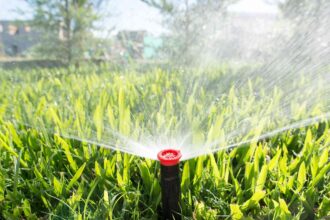 Quand devez-vous arrêter d’arroser votre pelouse pour l’hiver ? Les professionnels du jardinage recommandent ce moment idéal.