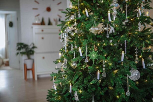 Vous ne donnez probablement pas assez d’eau à votre sapin de Noël : 3 conseils pour l’aider à s’épanouir.