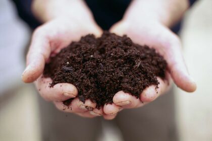 Choisissez le compost avec soin lors du sursemis de la pelouse