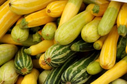 10 Variétés de Courgettes d’Été à Cultiver dans Votre Jardin