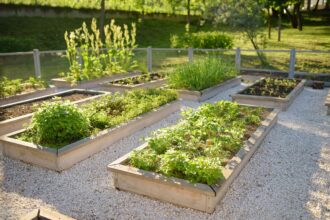 3 Aménagements et Plans de Culture pour Potsager Élevés afin de Démarrer Votre Jardin