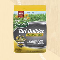 Scotts Turf Builder Weed and Feed sur fond jaune